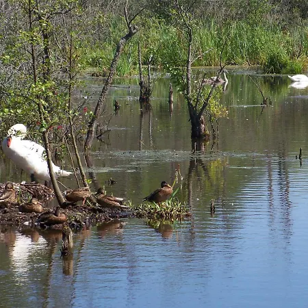 山林小屋 Holtur - Sanatorium Uzdrowiskowe