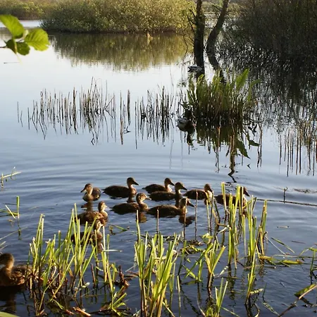 Holtur - Sanatorium Uzdrowiskowe Lodge Kolobrzeg