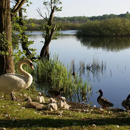Holtur - Sanatorium Uzdrowiskowe Kolobrzeg
