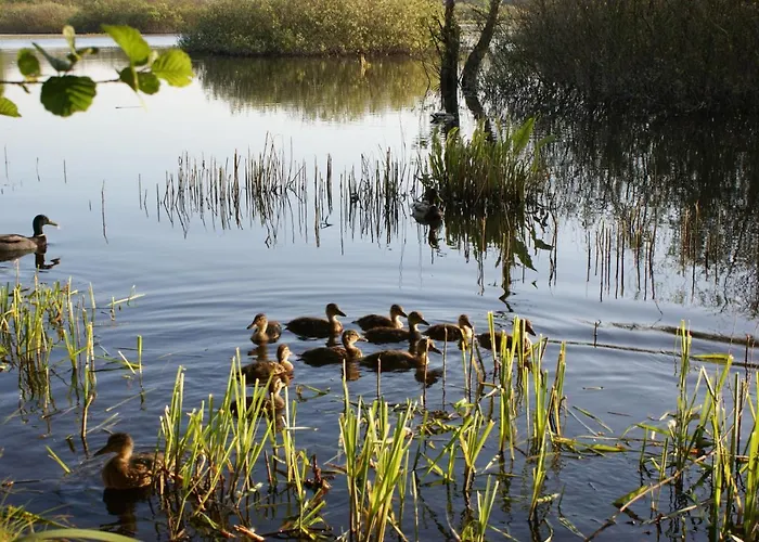 Holtur - Sanatorium Uzdrowiskowe Hytte Kołobrzeg