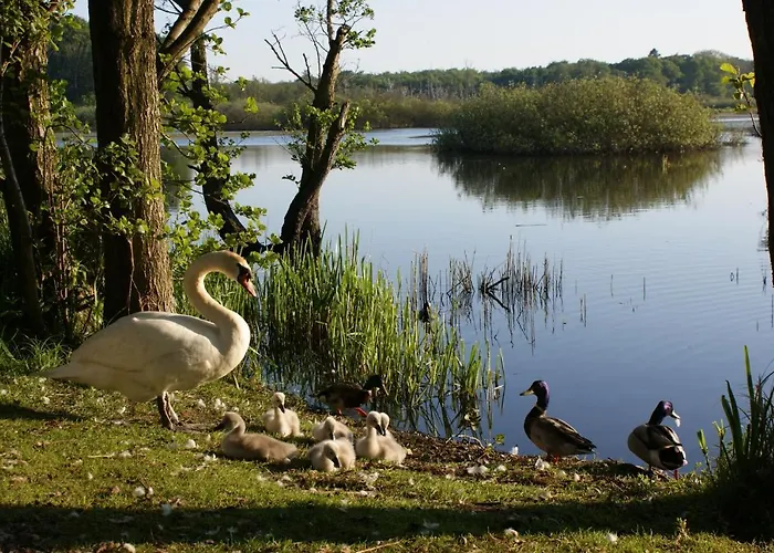 Holtur - Sanatorium Uzdrowiskowe Kołobrzeg
