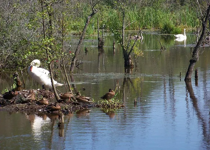 Gerendaház Holtur - Sanatorium Uzdrowiskowe